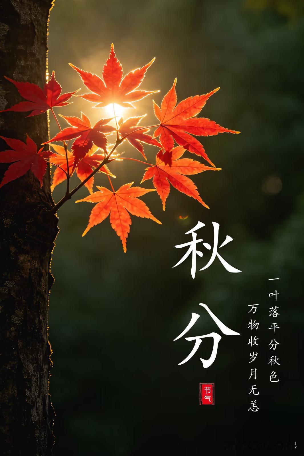 秋老虎猛不猛就看秋分
明日秋分，今年秋老虎凶猛吗？

先说结论：南方这秋老虎，还