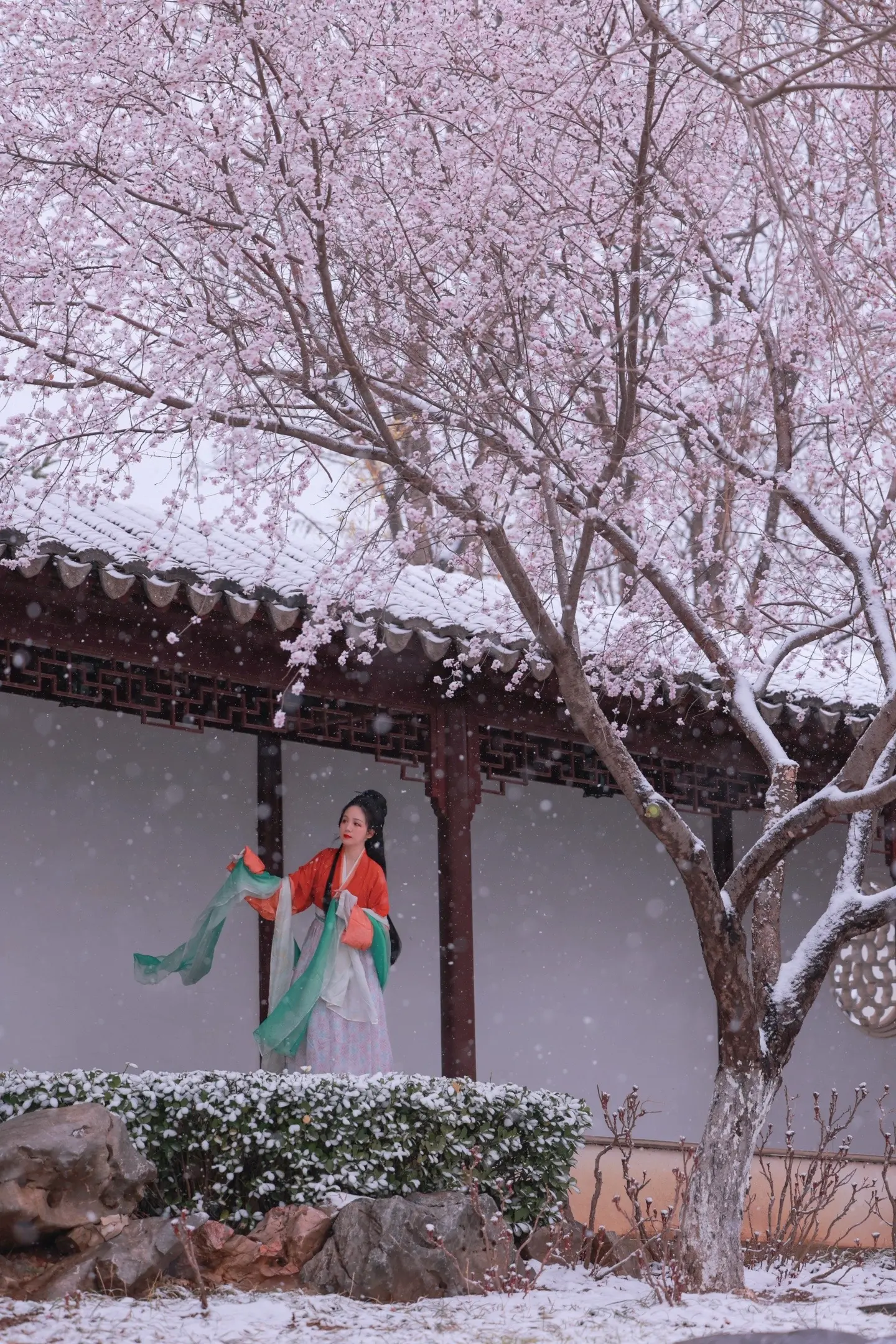飞雪迎春来。