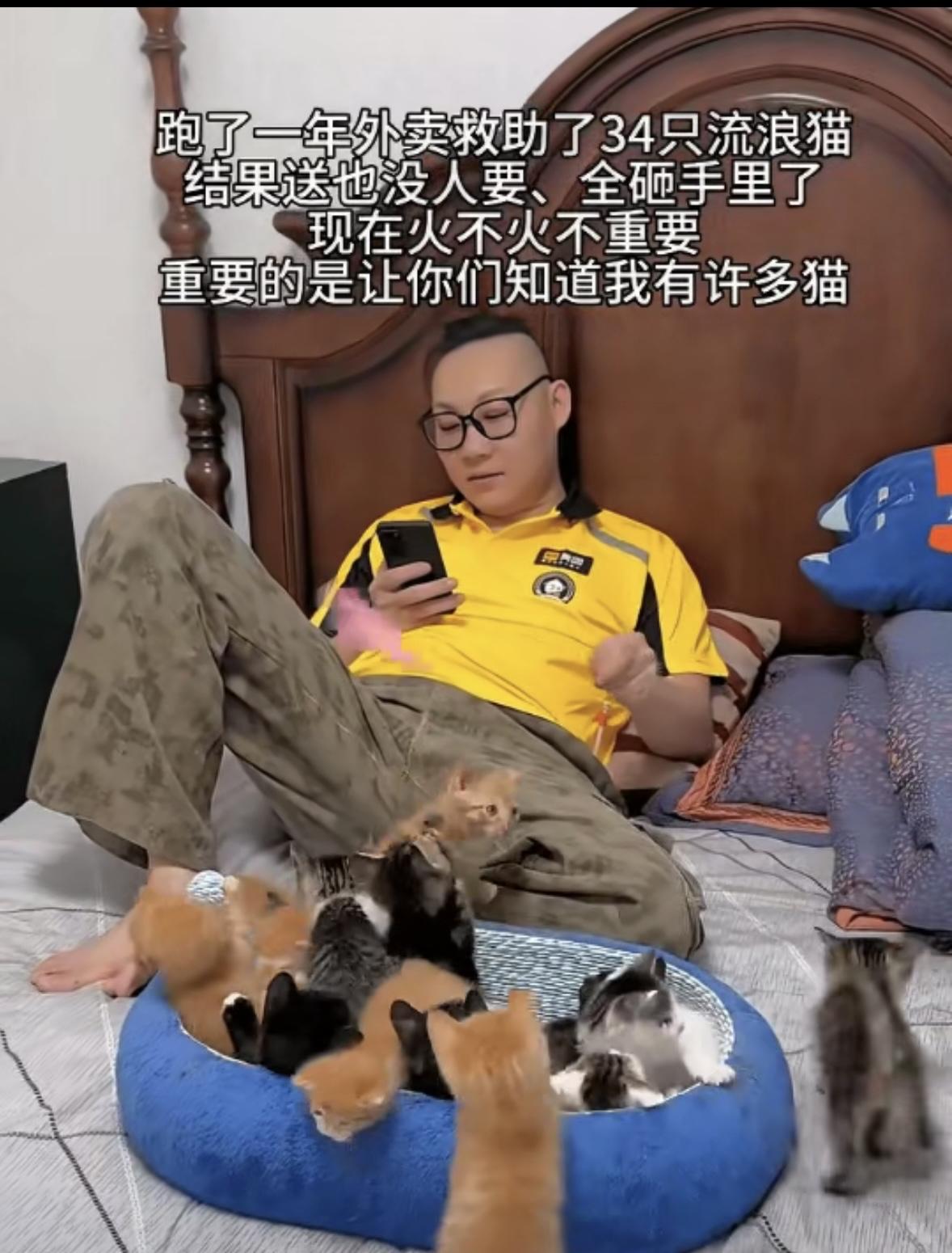 一名外卖小哥跑了一年外卖，沿路救下34只流浪猫。他本打算把猫咪治好养胖，再找人领