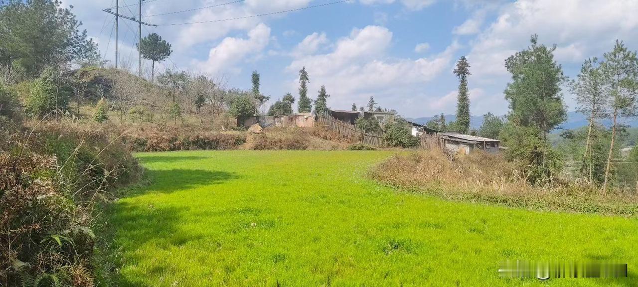 让你越来越成熟的10条人生建议：1. 感情牌：弱者最后的遮羞布
在利益交锋的谈判