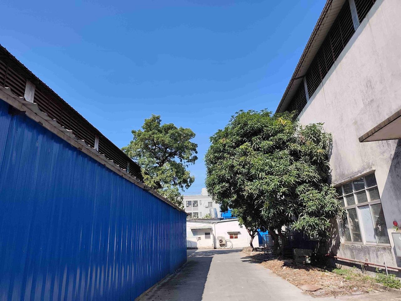 我的今日状态：😁轻松愉快
我这里的天气：☀️晴天
早上气温19，穿两件衣服，中