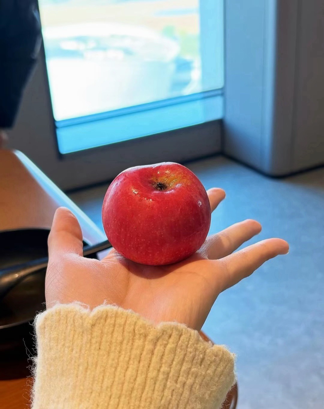 你是说 你对我的生活起到0个帮助 却要求我每件事做到你满意吗 蠢货 你怕是保胎针