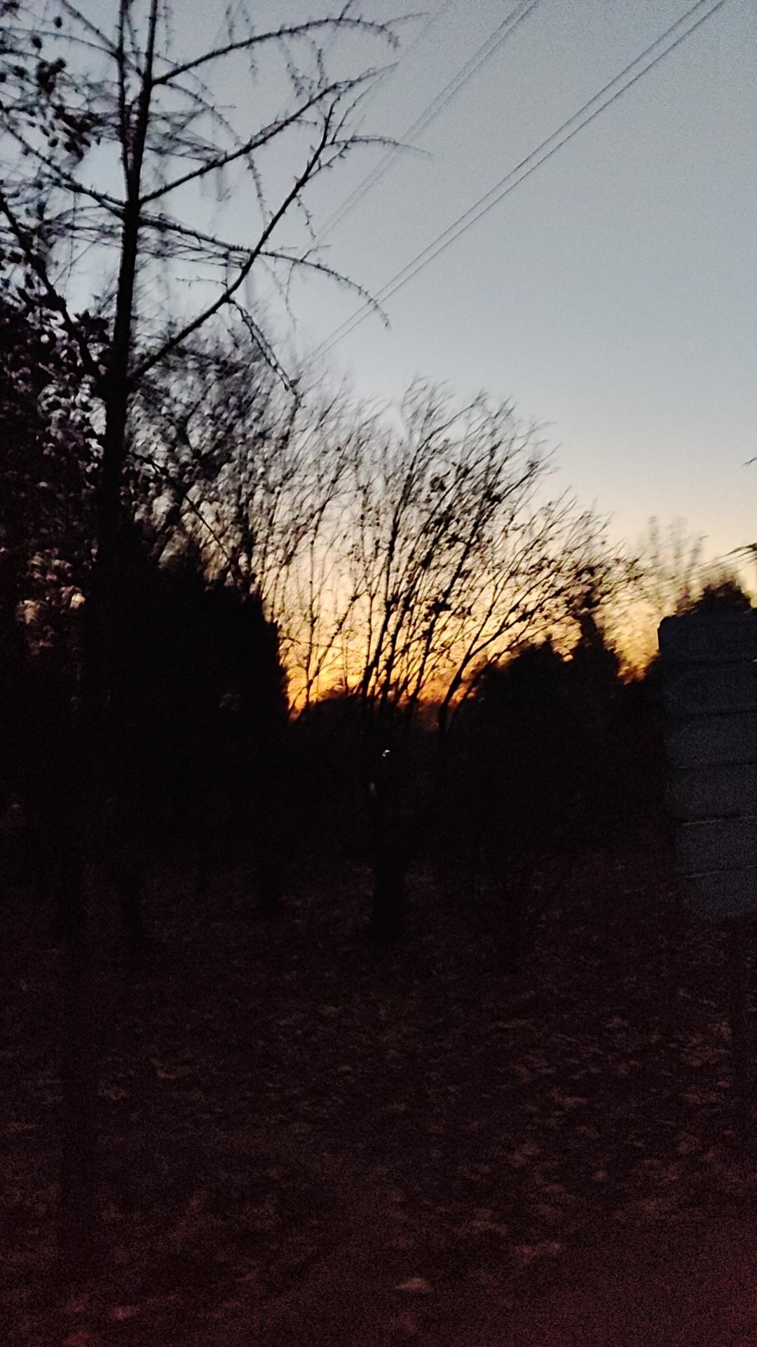 寒衣节，你送寒衣了吗
昨天十月一啊，我说昨天街头这么多烧纸的呢。十一月一送寒衣，