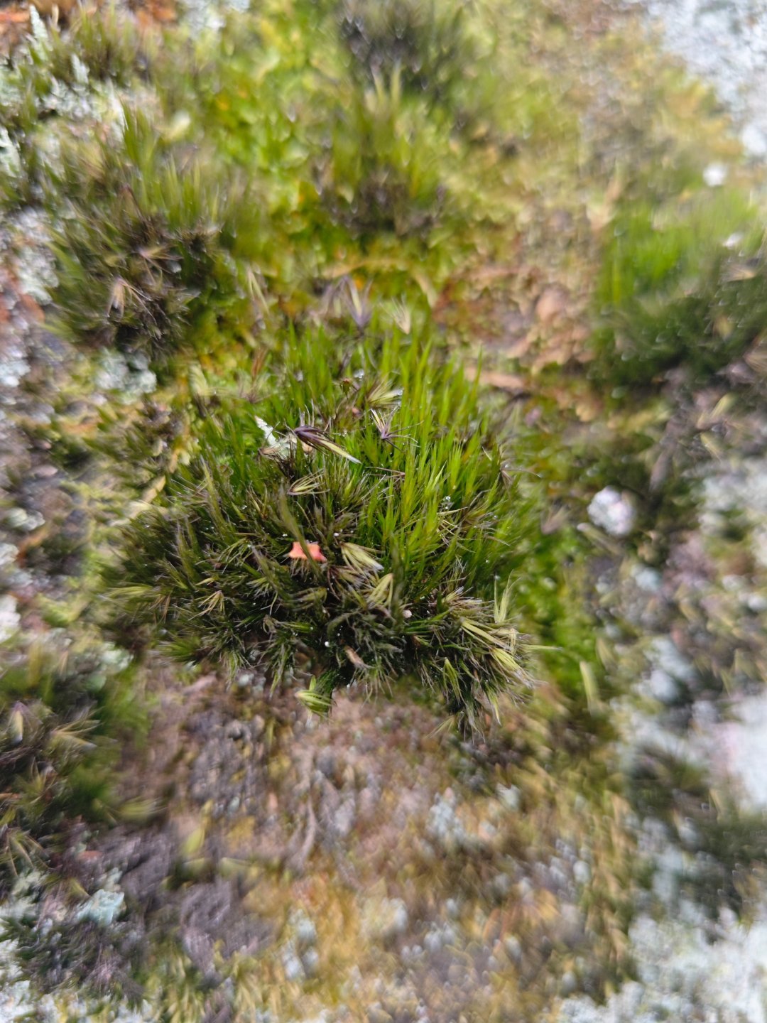 易立竞简直是保险小白的嘴替很多人买保险，怕坑、怕复杂、怕花冤枉钱，她只是替我们把