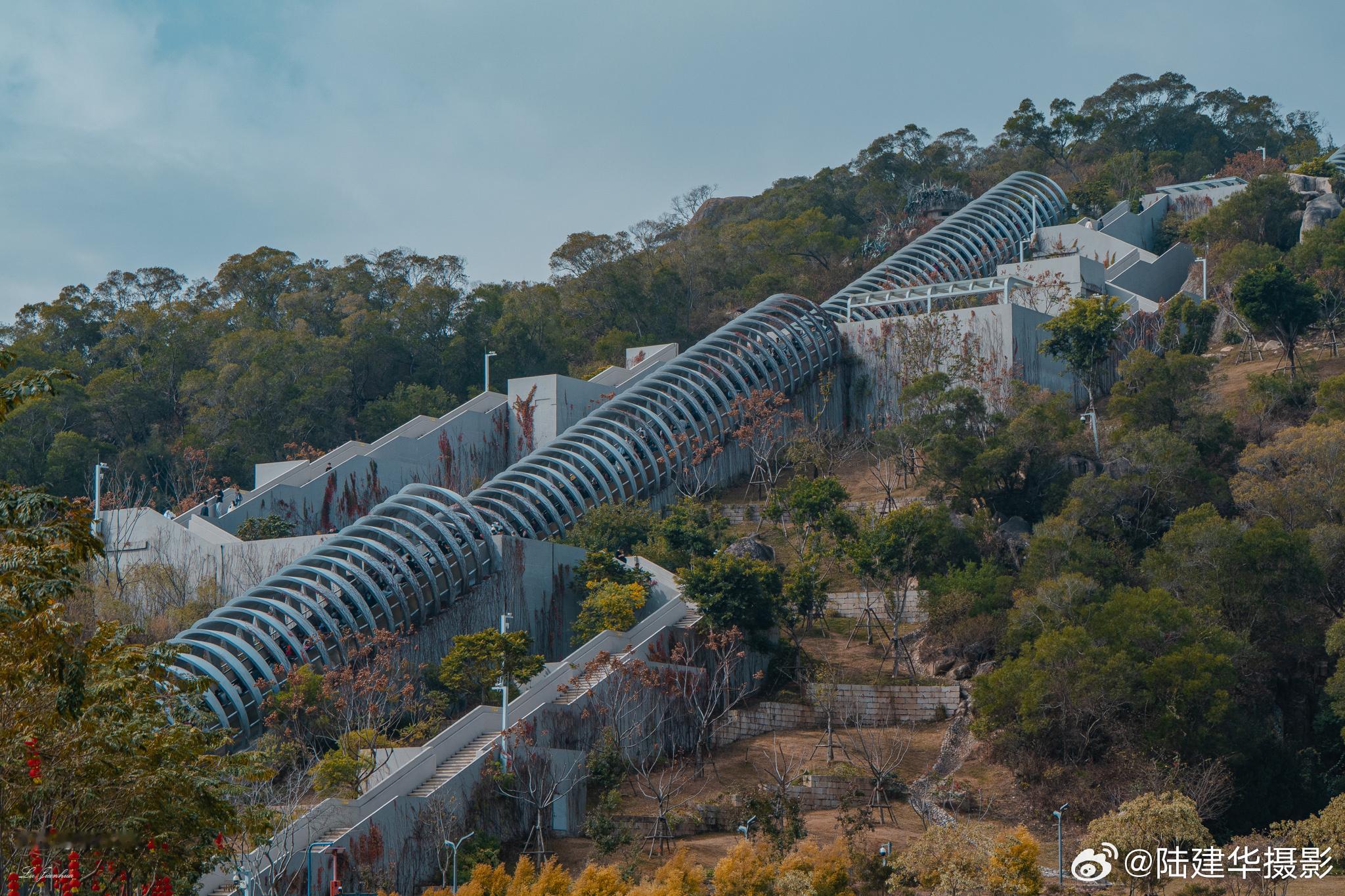 福建厦门园林植物园的网红自动扶梯，从山脚下乘坐的话，9分钟直达山顶，其中自动扶梯