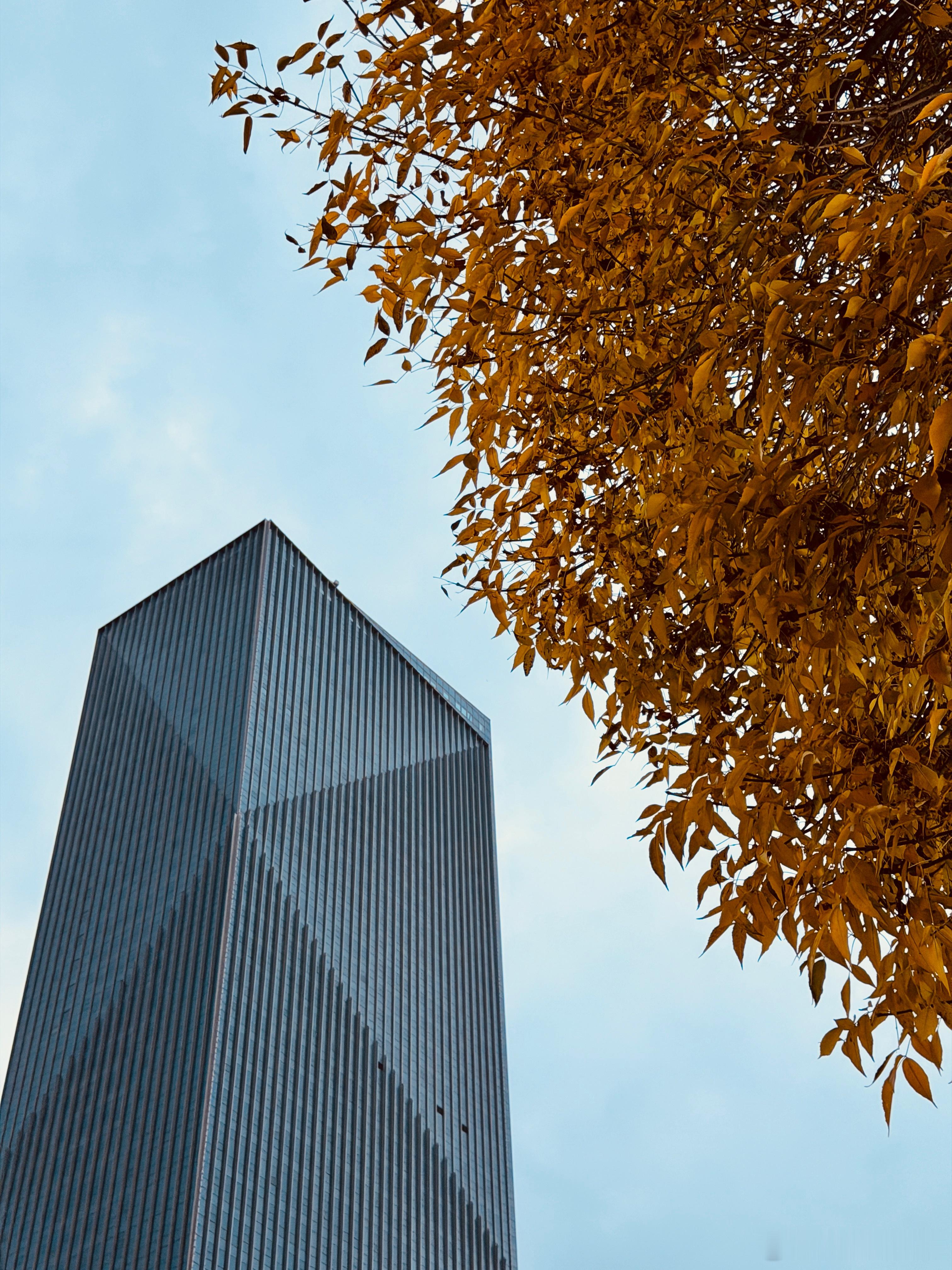 许多人追逐着秋天，捕捉到了独属于这个时节的美丽。好梦~~~ ​​​