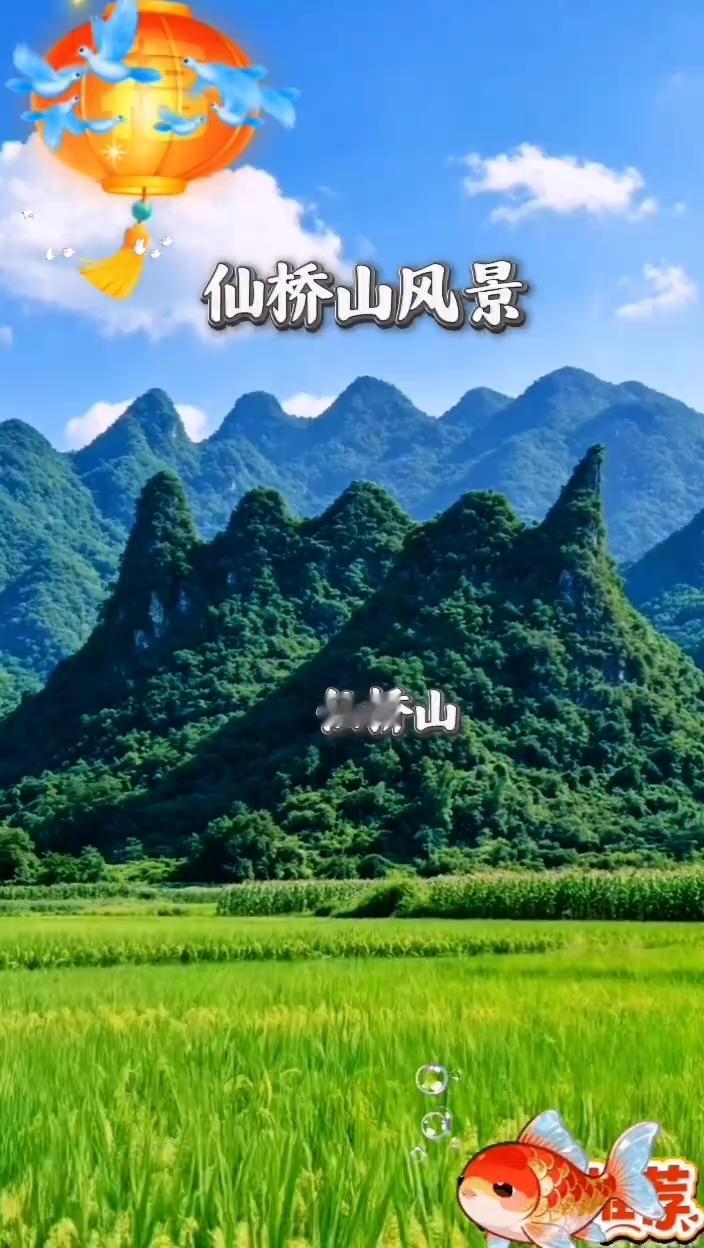 仙桥山风景。
仙桥山，草知州。