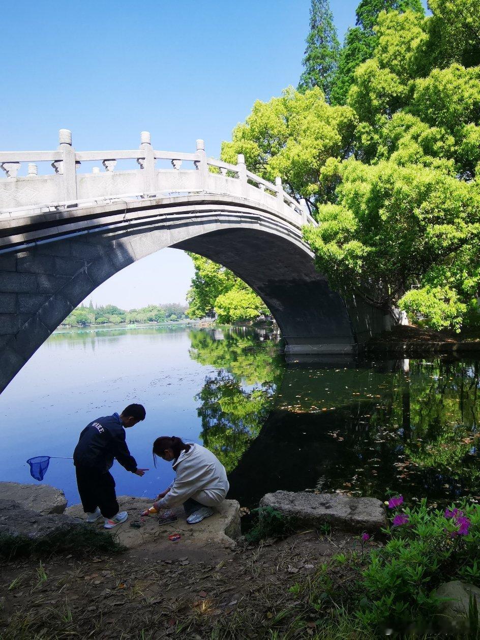 我的日常plog 生活中，没有摆拍，只有自然流露……随手拍随手拍用眼睛寻找美丽江