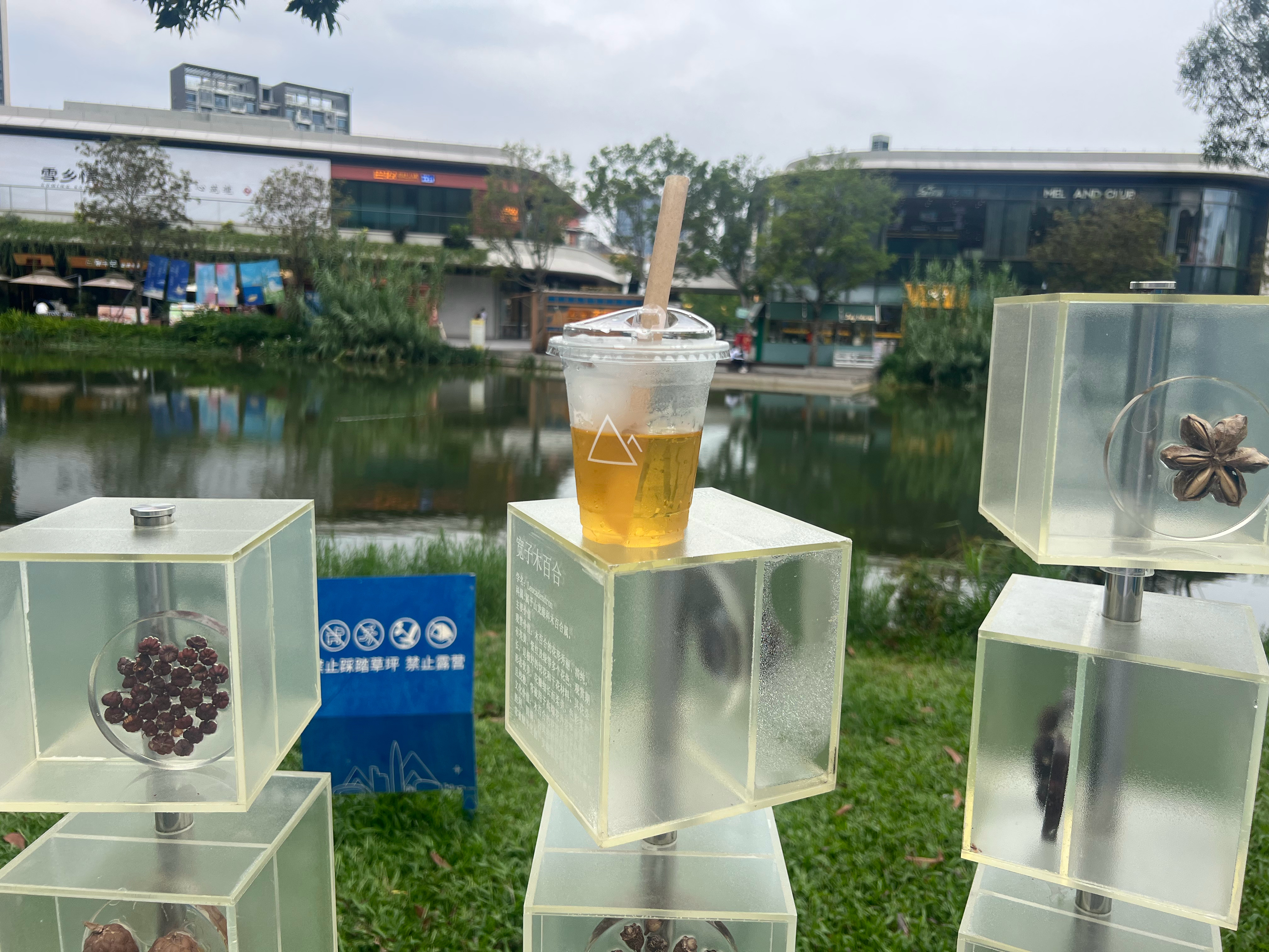 世界原本就不是属于你，因此你用不着抛弃，要抛弃的是一切的执着。万物皆为我所用，但