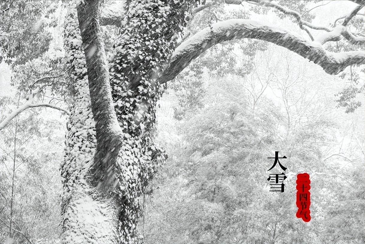 “大雪早冻死牛，大雪晚暖洋洋”，啥时候大雪节气？春节冷吗
大雪是冬季的第三个节气
