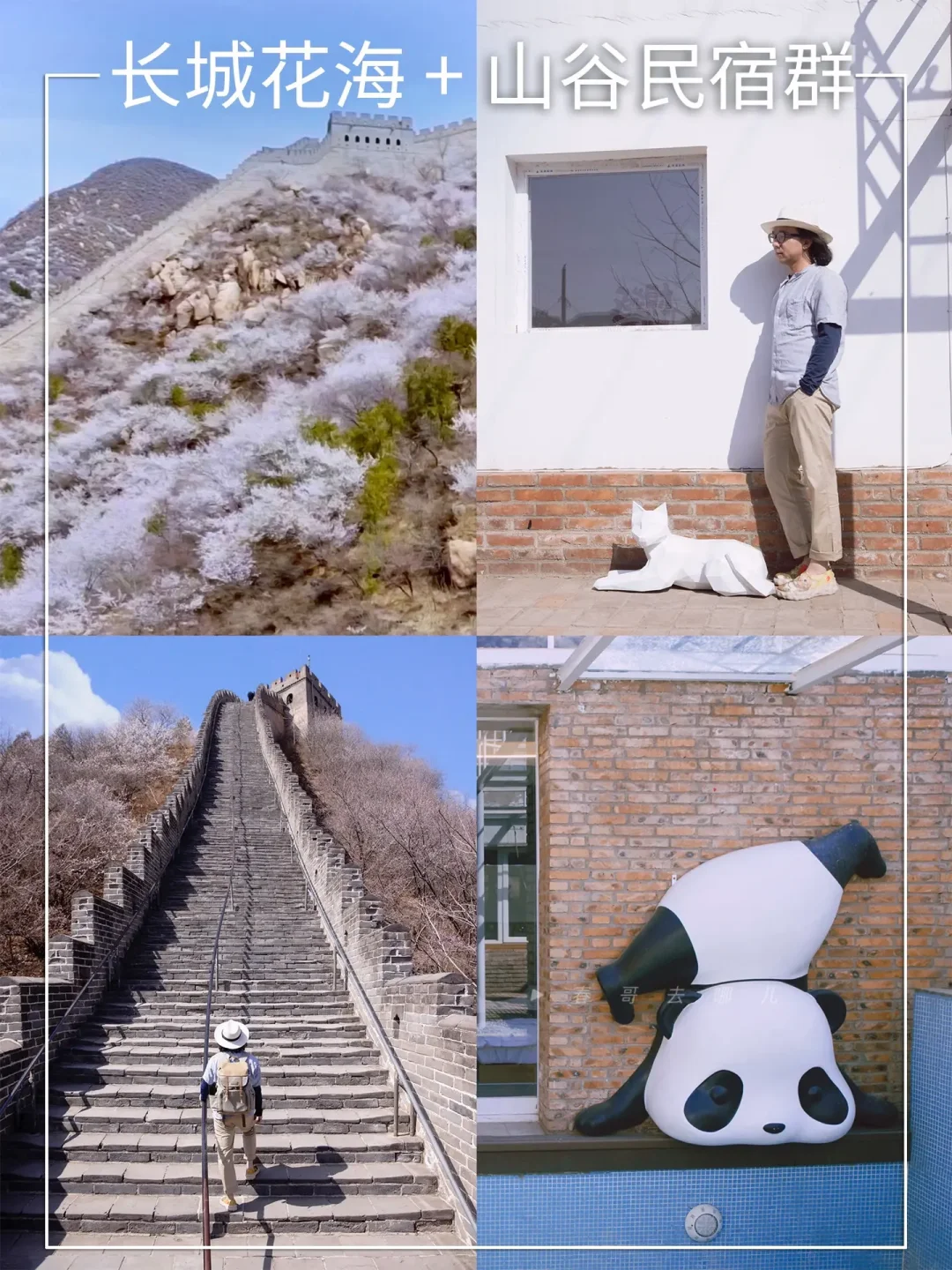 人少小众，京郊日系风赏花度假目的地