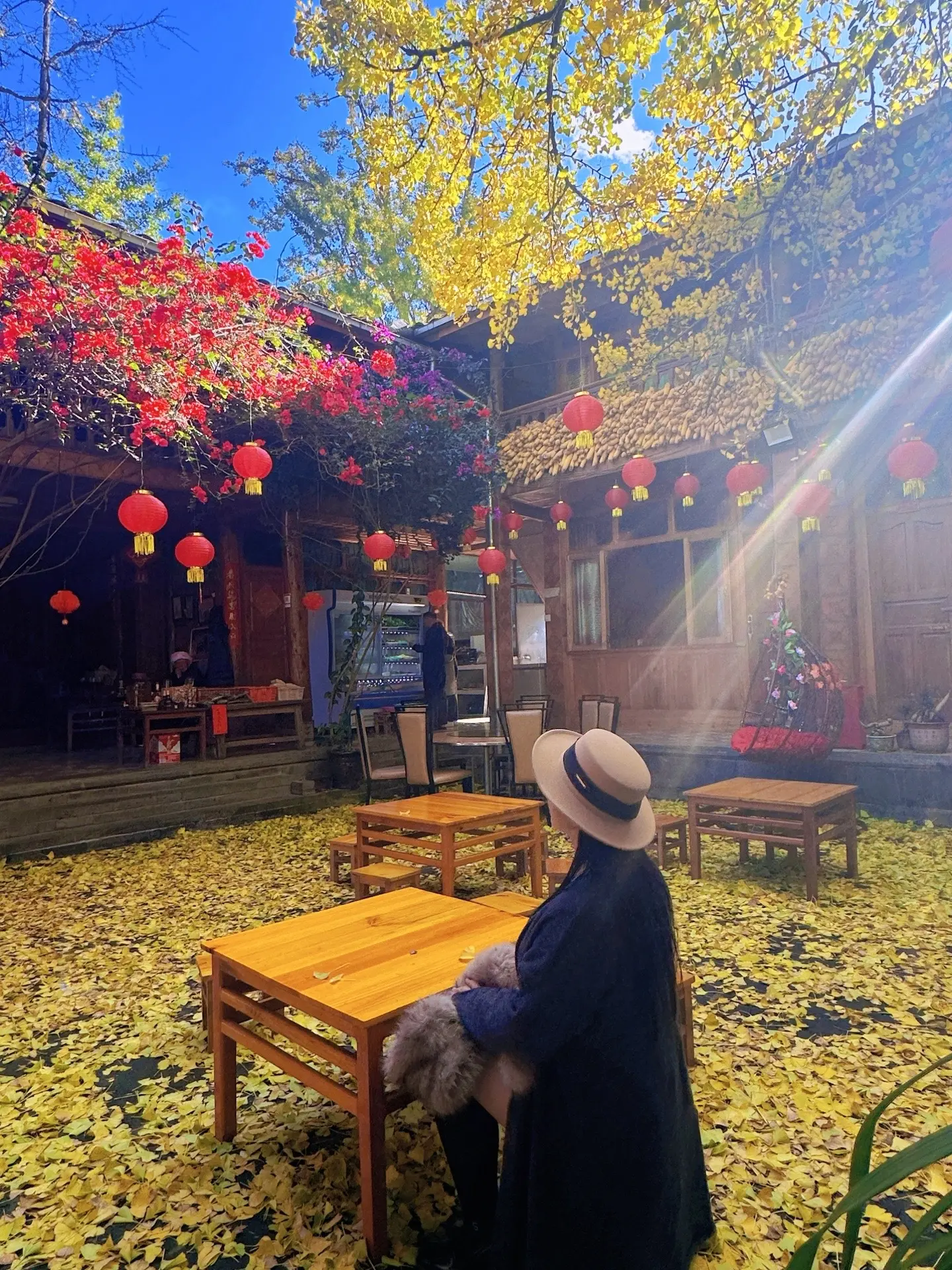 腾冲银杏村。