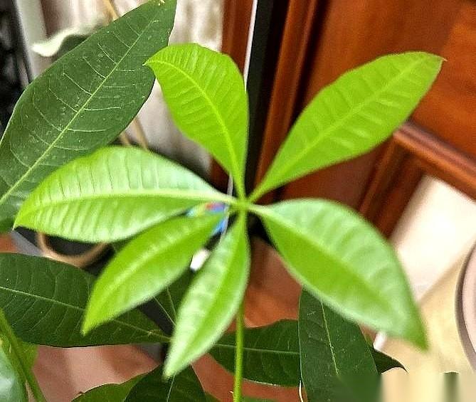 一个山沟沟，一个扳道工，一套“发配”流程。
听说，就因为他老跟领导顶牛，是个刺儿