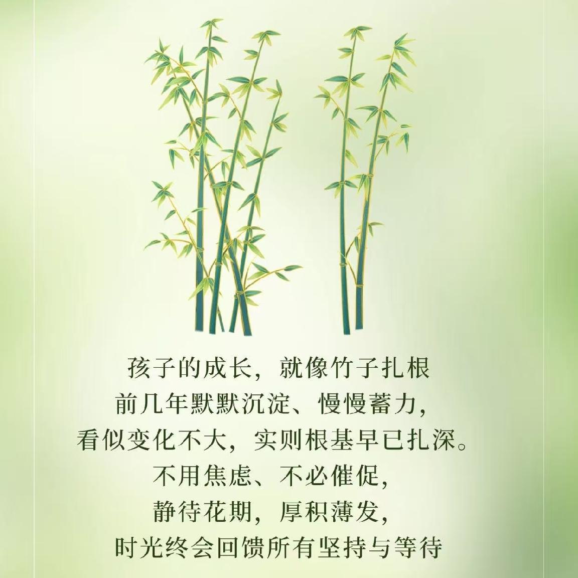 孩子的成长，就像竹子扎根🌱
前几年默默沉淀、慢慢蓄力，
看似变化不大，实则根基