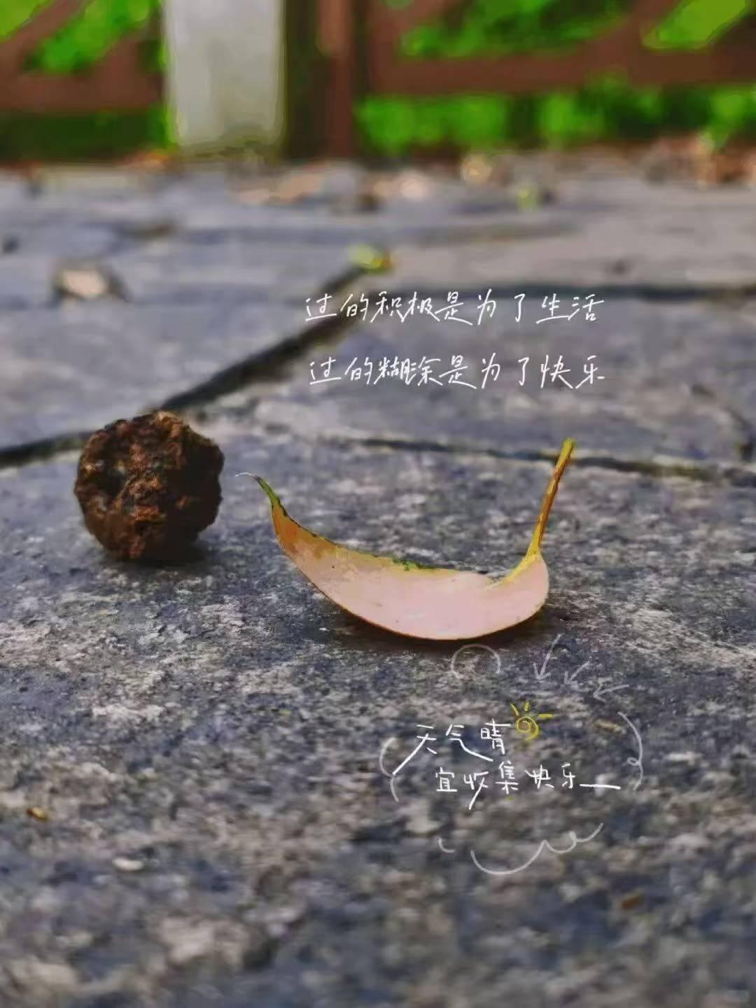过的积极是为了生活，过的糊涂是为了快乐！
生活，一半助你，一半渡你。走过汹涌的人
