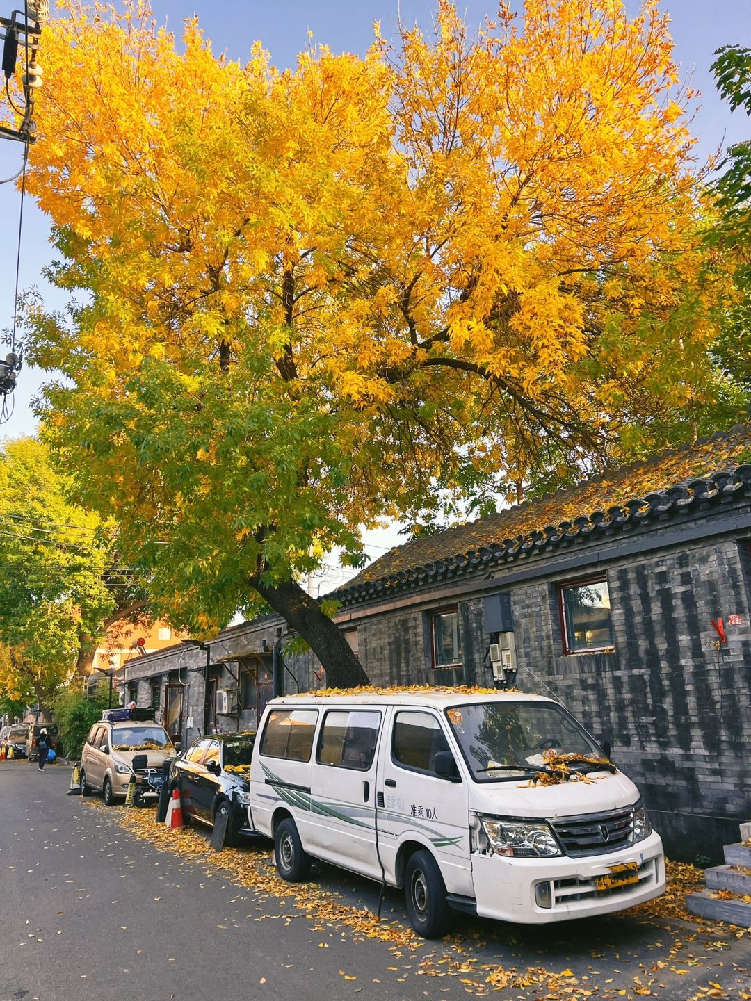 10.27实况｜0⃣️游客的胡同已经美得不像话啦