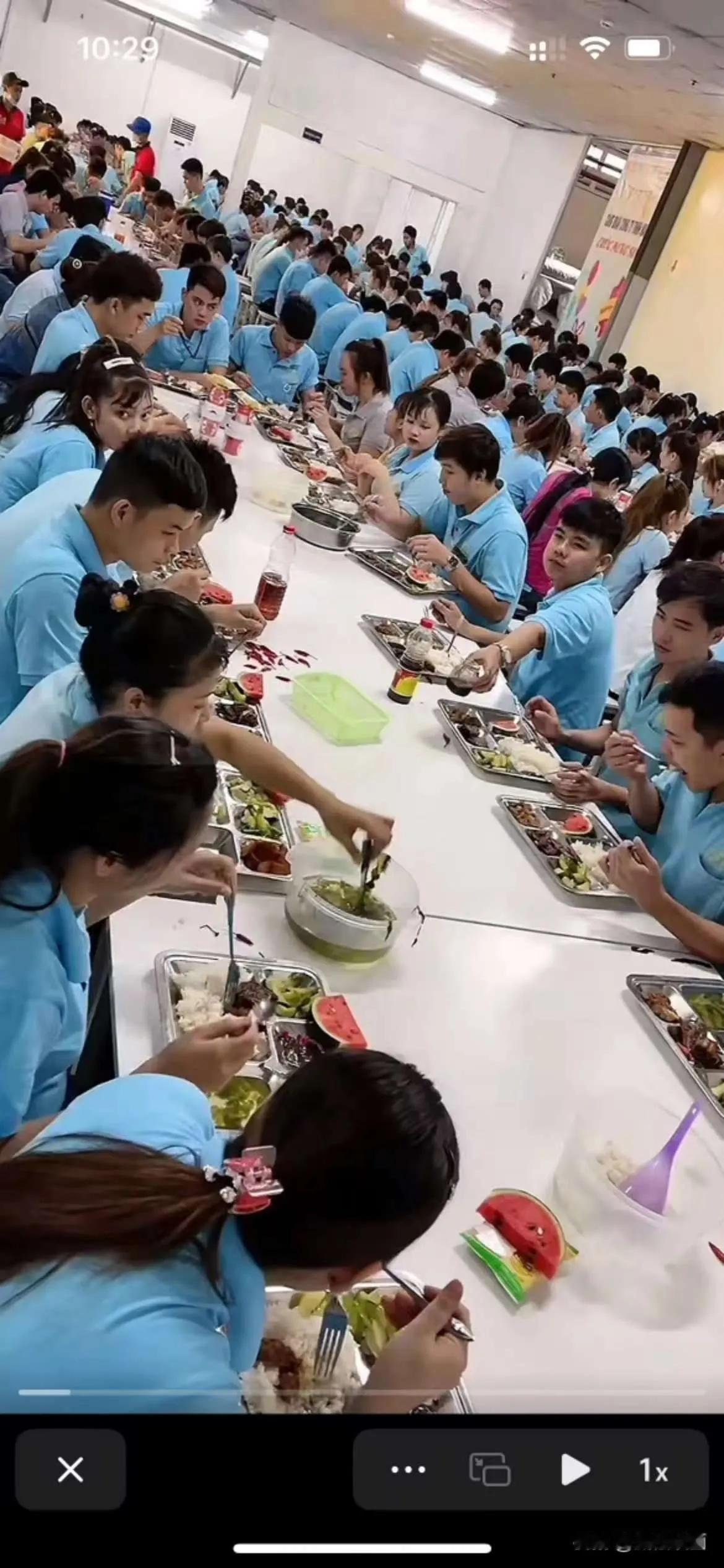 越南中资工厂伙食，我们的私企，是全年无休，累了可以请假，但没钱，干一天算一天，没