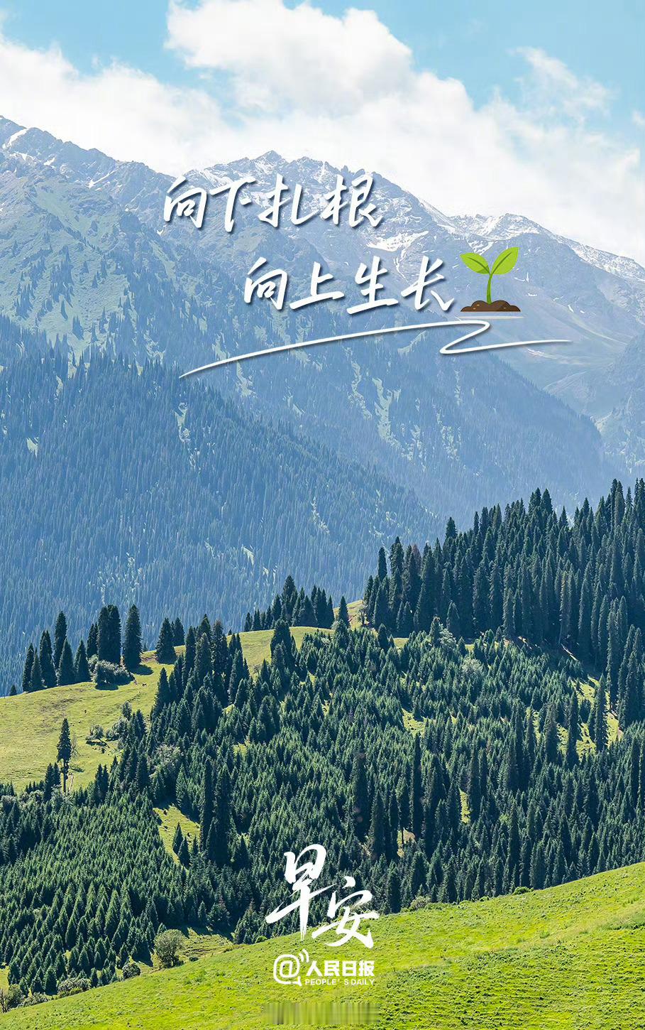 每日一善       阳光信用 人生这条路很长，未来如星辰大海般璀璨，不必踟蹰于