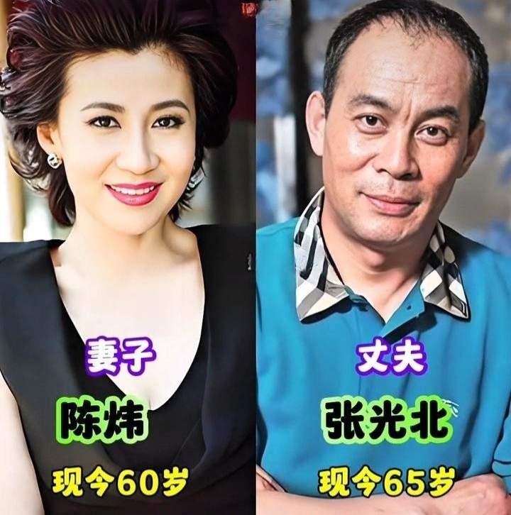 老戏骨夫妻张光北陈炜
老戏骨夫妻胡军卢芳
老戏骨夫妻金鑫黄梅莹
三对老戏骨夫妻，