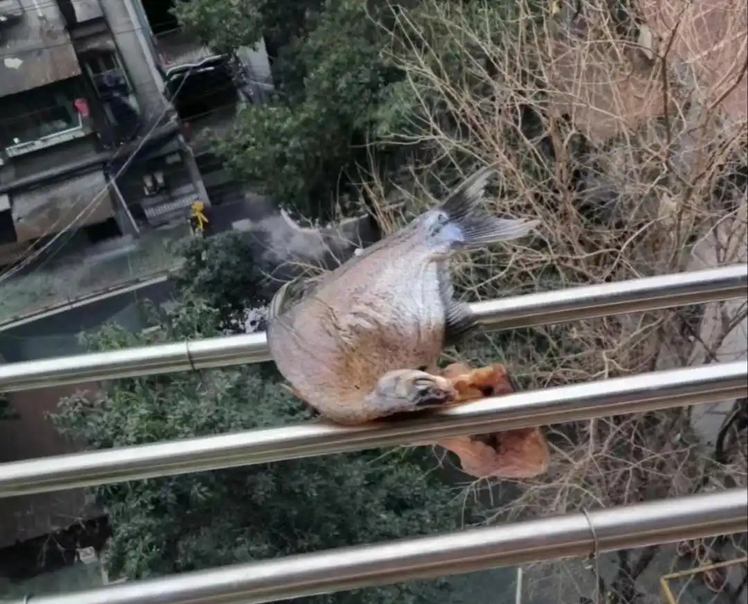 楼上掉下来的，我捡回去吃了没问题吧？ 
