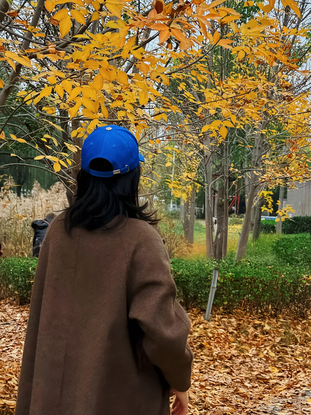 开封的初冬深邃又美丽/一渠六河