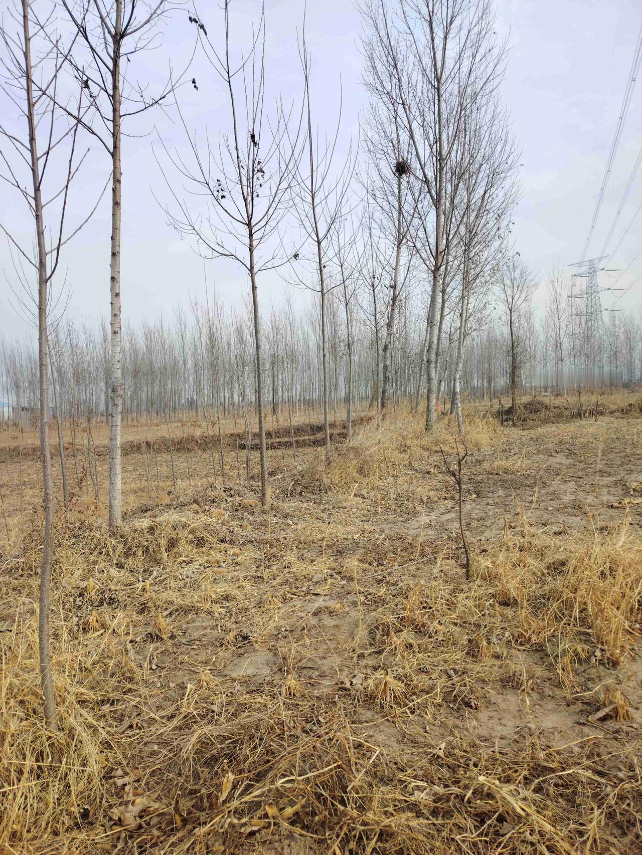 带定位晒今日生活 今天天气超棒，大晴天☀️ ，心情也跟着自信酷炫😎 。
突然想