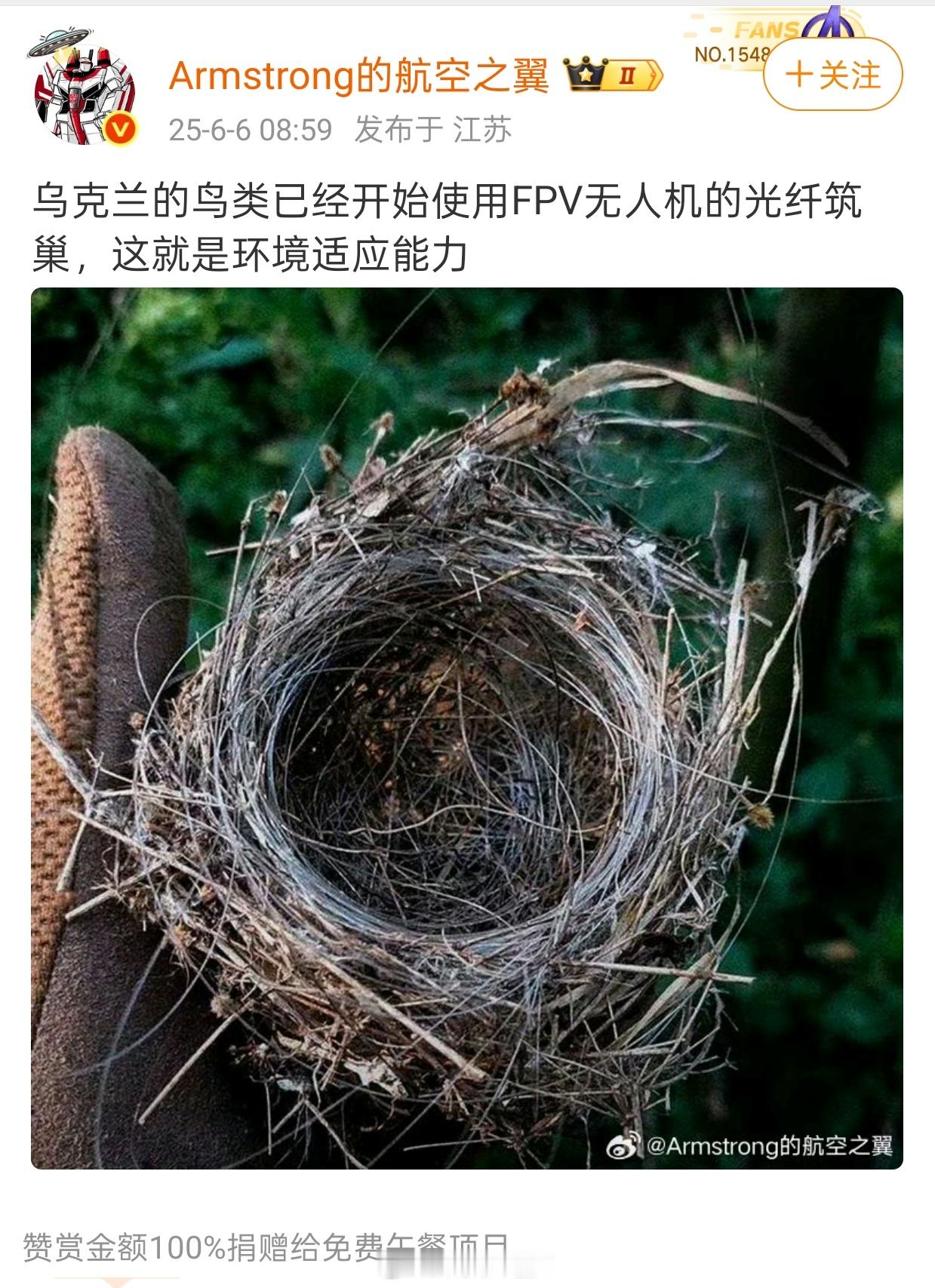 基辅遭俄军大规模袭击《闻乌东鸟雀以光纤营巢》朔方群狼竞扩权，乌东血浸旧山川。俄乌
