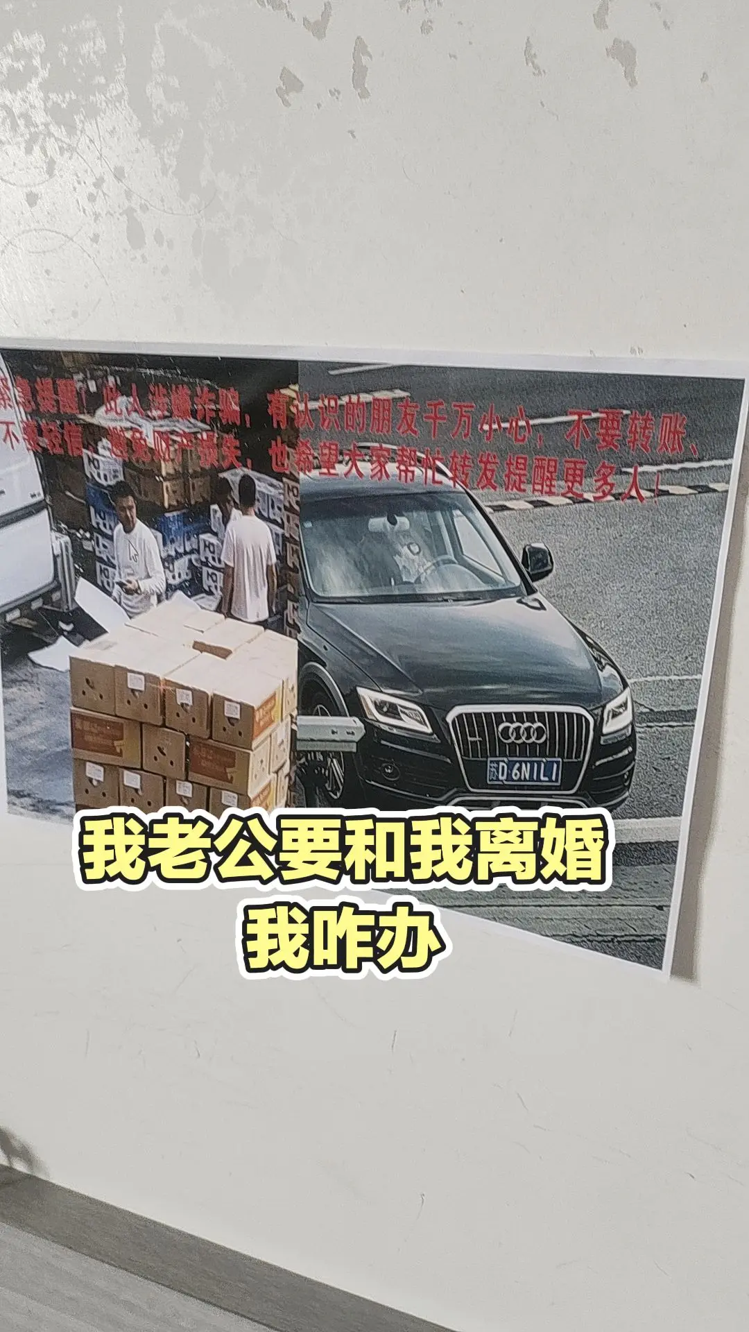 每日分享