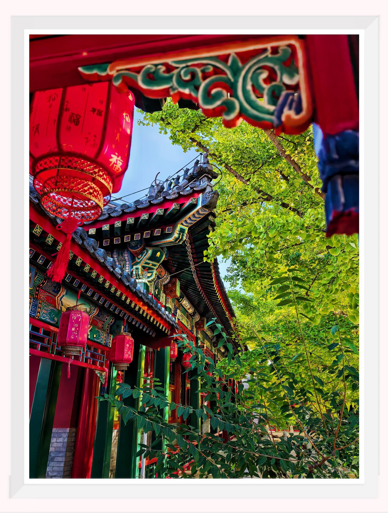 北京紫竹院行宫十月底美了