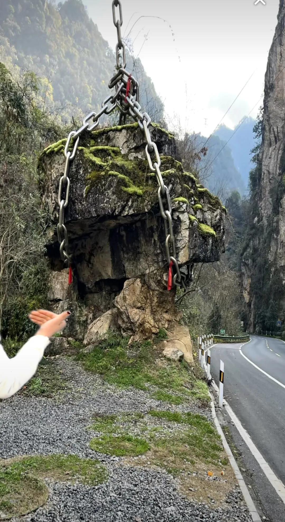 夏日生活打卡季蹲在树荫下看蚂蚁搬家，听卖冰棍的自行车叮铃铃碾过阳光，原来慢下来的