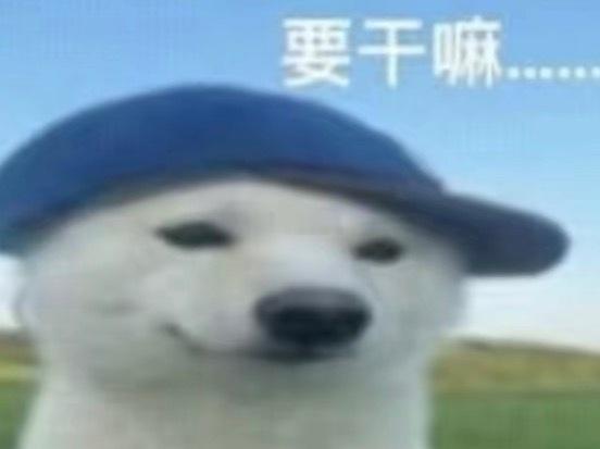 找入史册的8月手机坏了亲人去世了 老板跑路工作没了被网暴 搅黄了新工作 ​​​