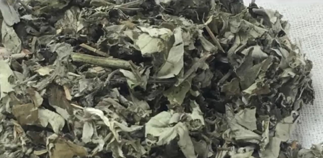 对于高考的学子而言，在填报志愿这个事上，考得特别好就基本不用担心了，好大学抢着要