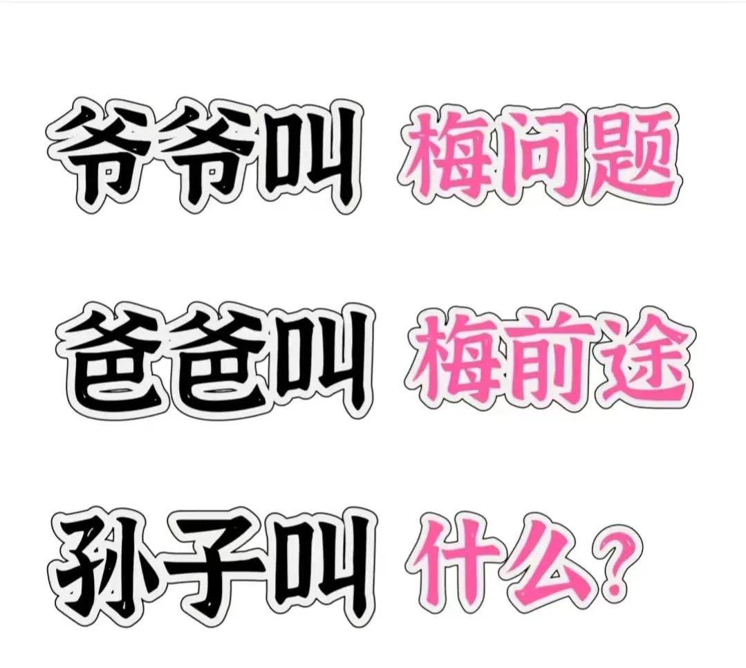 爷爷叫梅问题
爸爸叫梅前途
孙子叫什么？