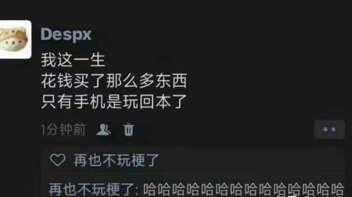 哈基米南北绿豆。想起密码了加更！沙雕图片meme 每日开心一笑