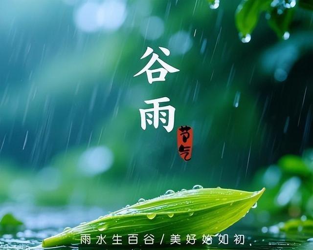 今年谷雨是4月20号上午9点半，按老话“上午谷雨雨不缺”，看来今年雨水稳了。种地