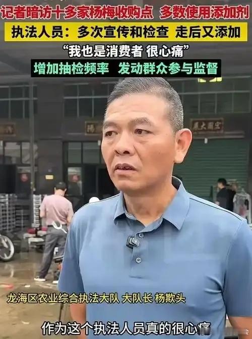 接上期。“泡药杨梅”1个链条5大节，节节都有问题，为什么说农民最亏、消费者也有责