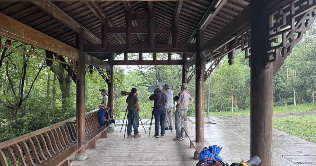 大爷郁闷了，走到三环路成南高速下雨了
大爷郁闷了，走到三环路成南高速下雨了