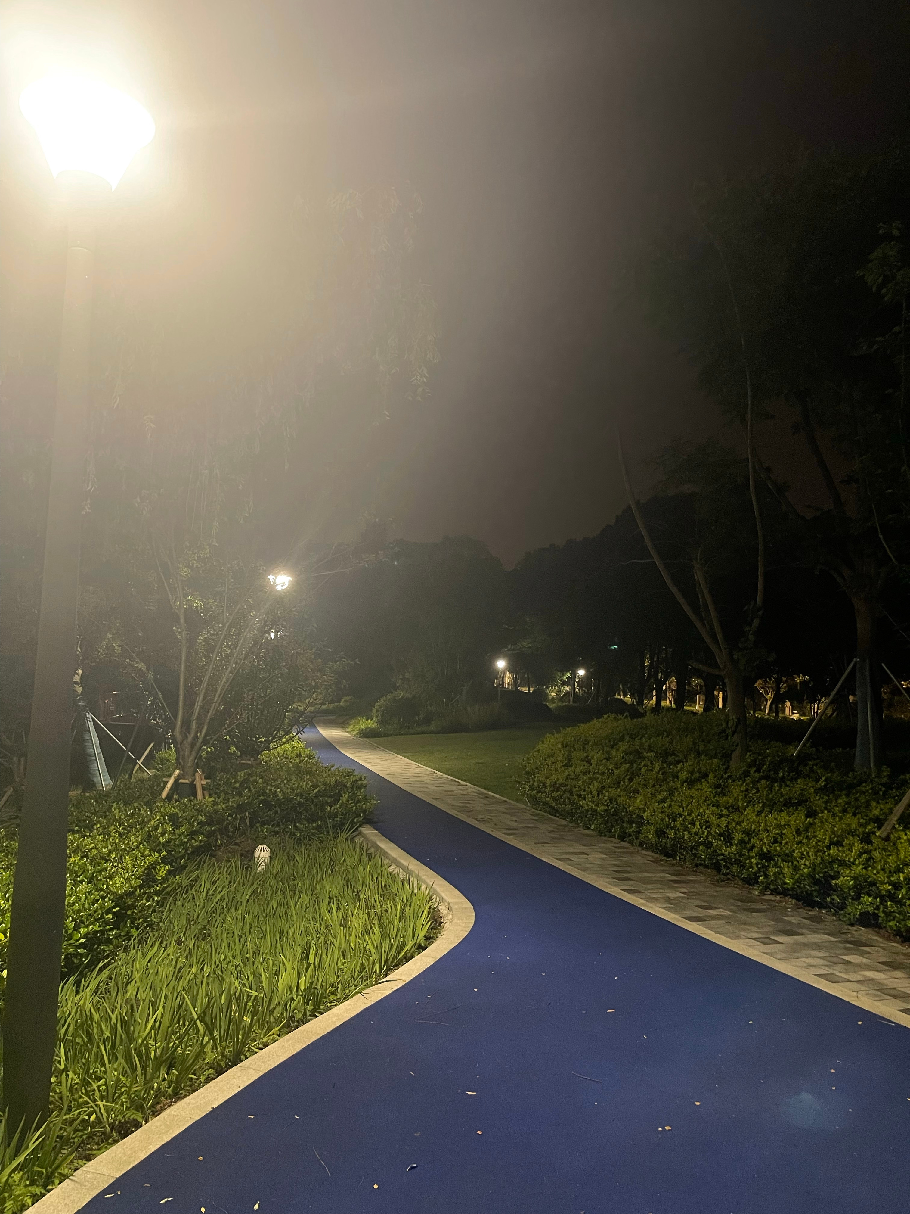 我可太喜欢深夜十点后的户外了一个人走在长长的步道上没有遛狗的、遛娃的、骑车的也没
