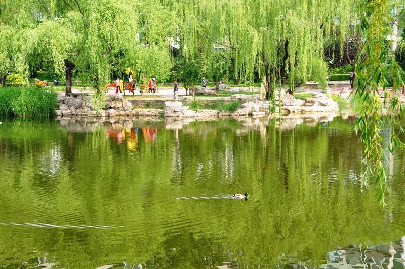 创作一首《春归》：春暧三月鱼儿跃，两堤柳绿软丝垂。一篙撑入桃园路，满载夕阳缓缓归