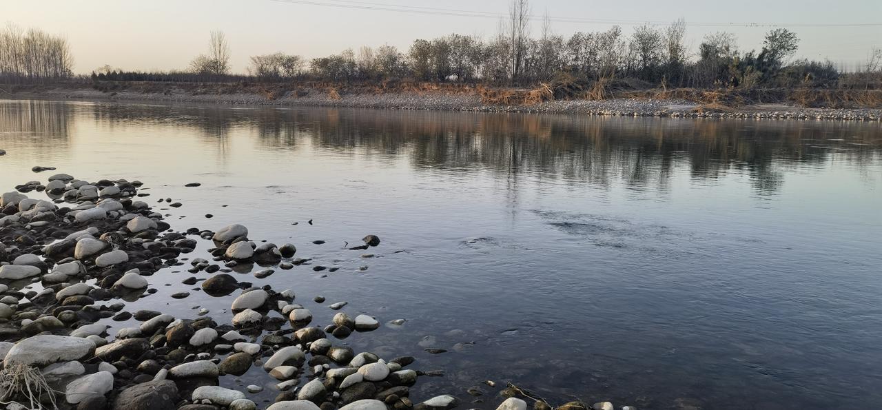 分享手机随手拍故乡.渭水冬韵。（霸王河入渭河口处）