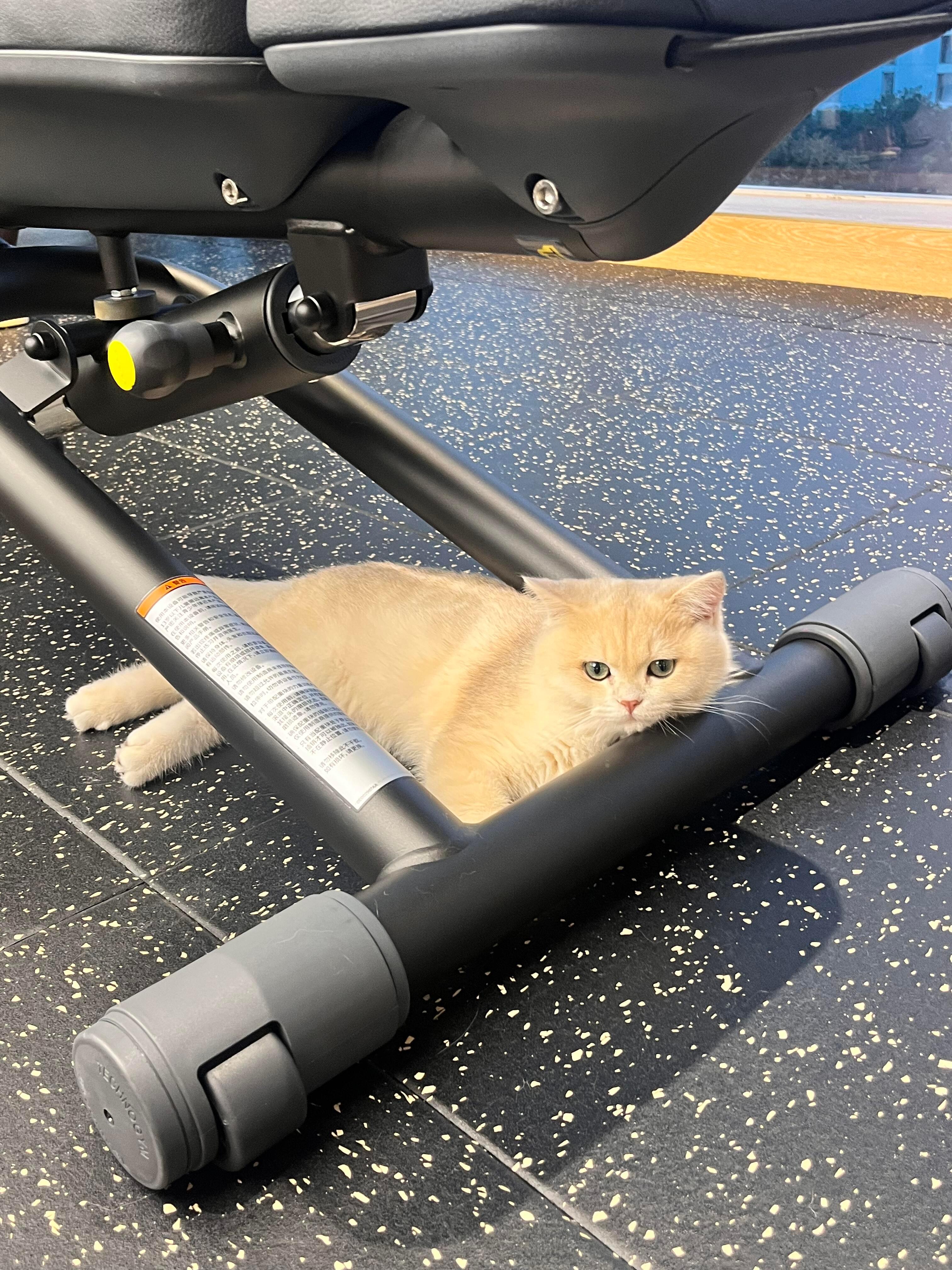 汗水是成年人最好的护肤品健身人就这样一边累一边坚持在器械面前永远热血不认输💪全