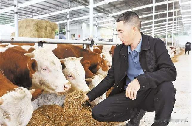 田间地头也能评“正高”[耶][耶]
 辽宁拟为新型职业农民评职称，分初级到正高级