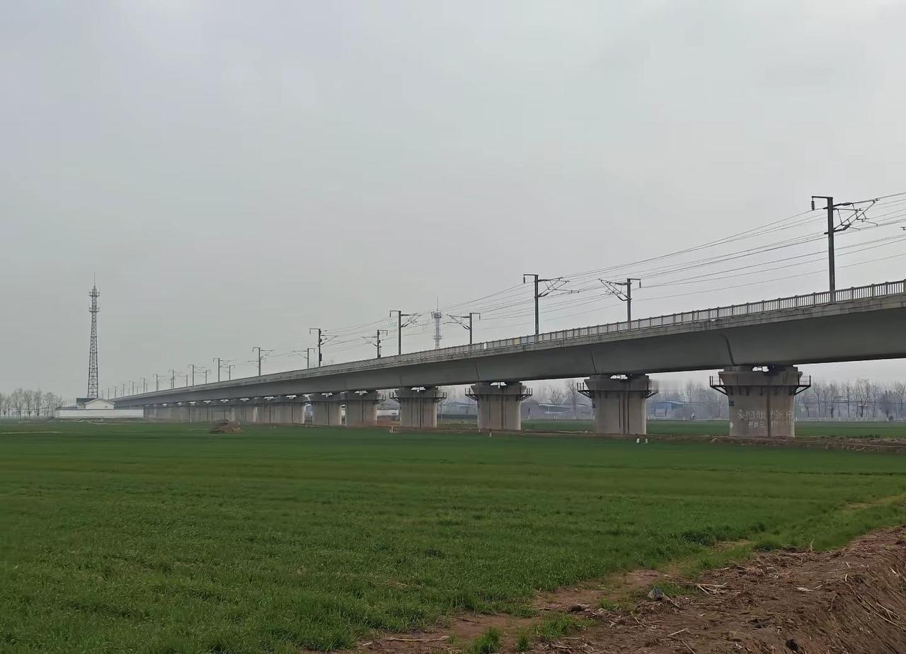 濮阳到汉口G3321疾驰驶往南阳东站方向。