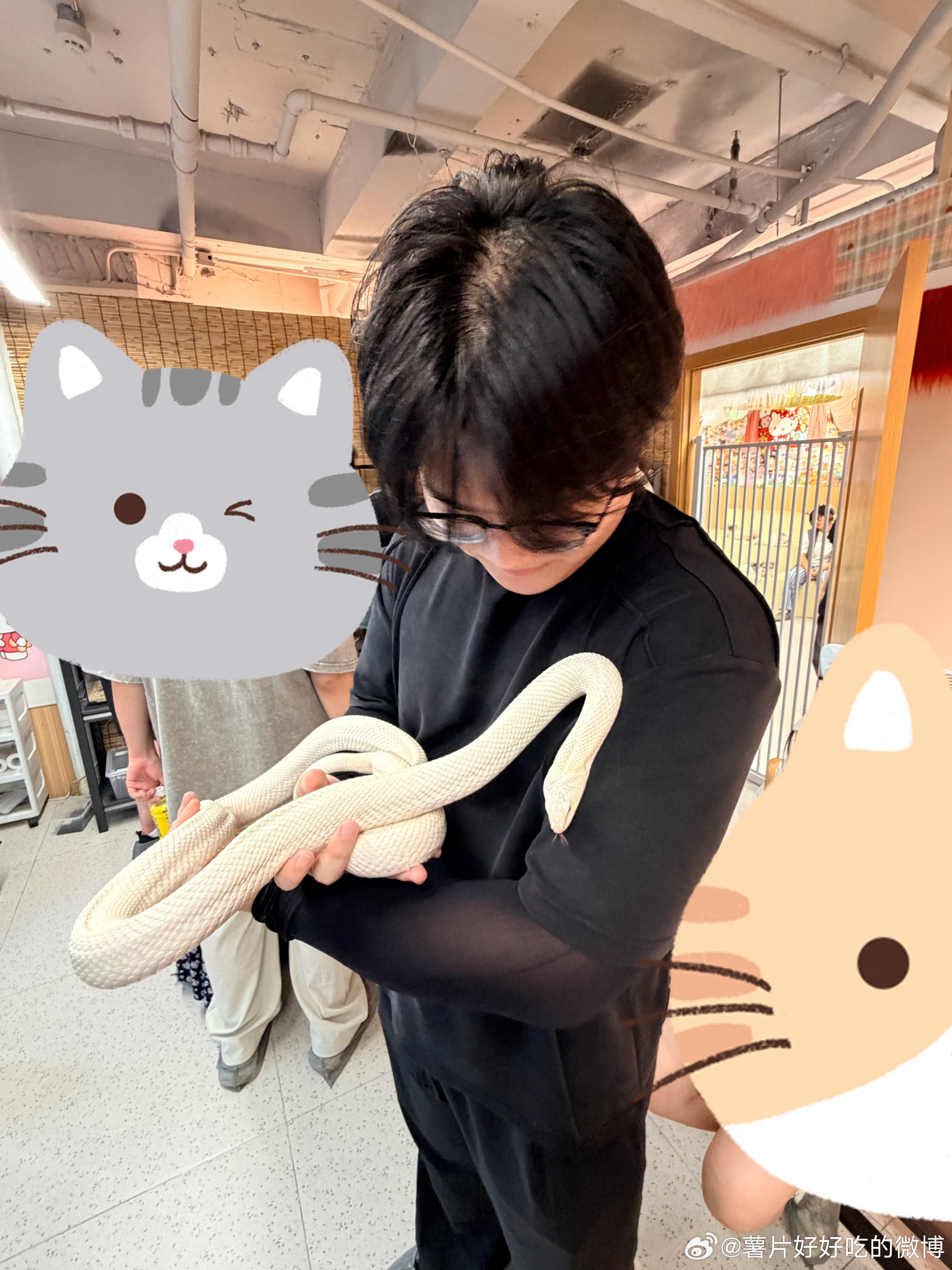 再也不去宠物店了