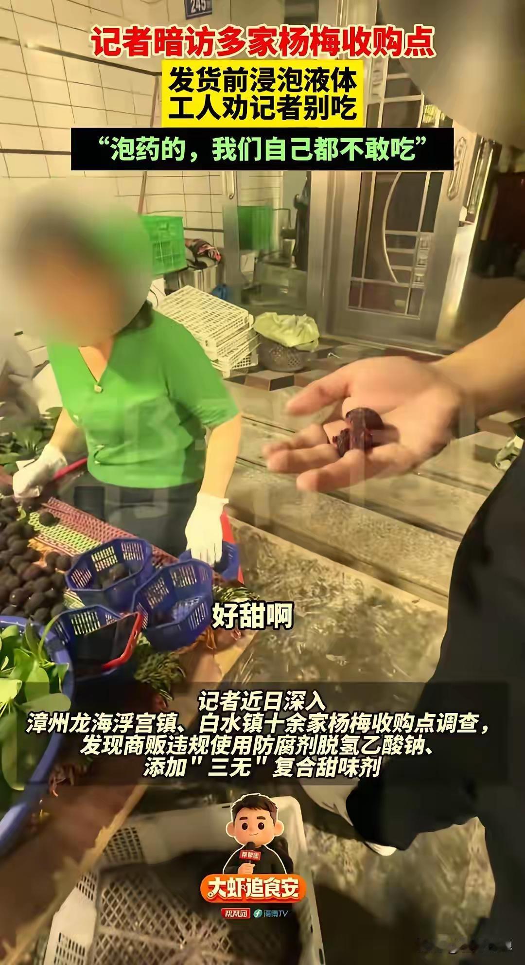 福建漳州杨梅黑幕，彻底炸穿咱们国人底线！工人把整筐整筐杨梅，暴力浸泡违禁防腐剂、