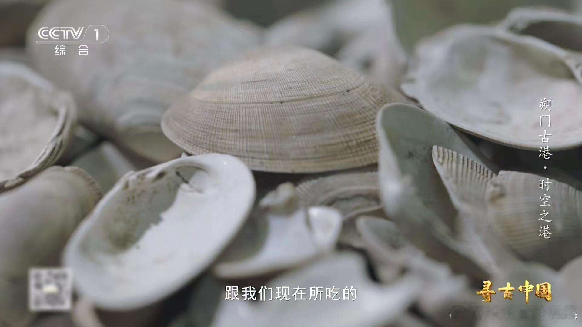 温州一千多年前就流行嗦螺了 谁能想到嗦螺这项快乐，早在千年之前就流行开来，古人的