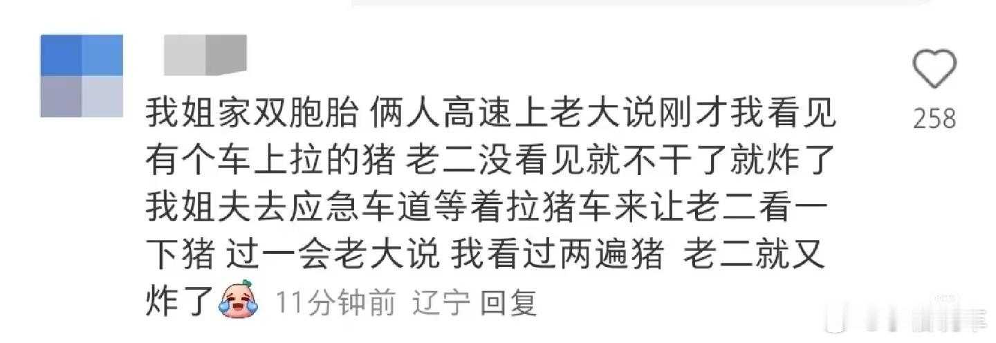 双胞胎必须要一模一样的东西吗真的假的，带小朋友也太难了吧，有没有家里有双胞胎的朋