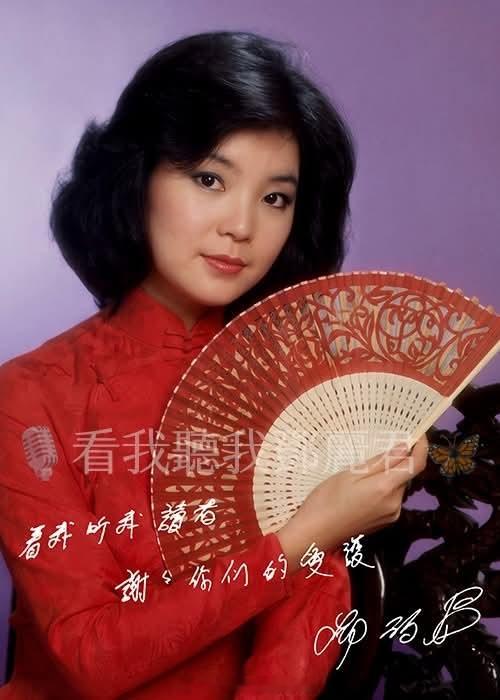 关于“看我听我邓丽君”——这是一个由年轻人组成的以研究邓小姐为己任的小分队。过去