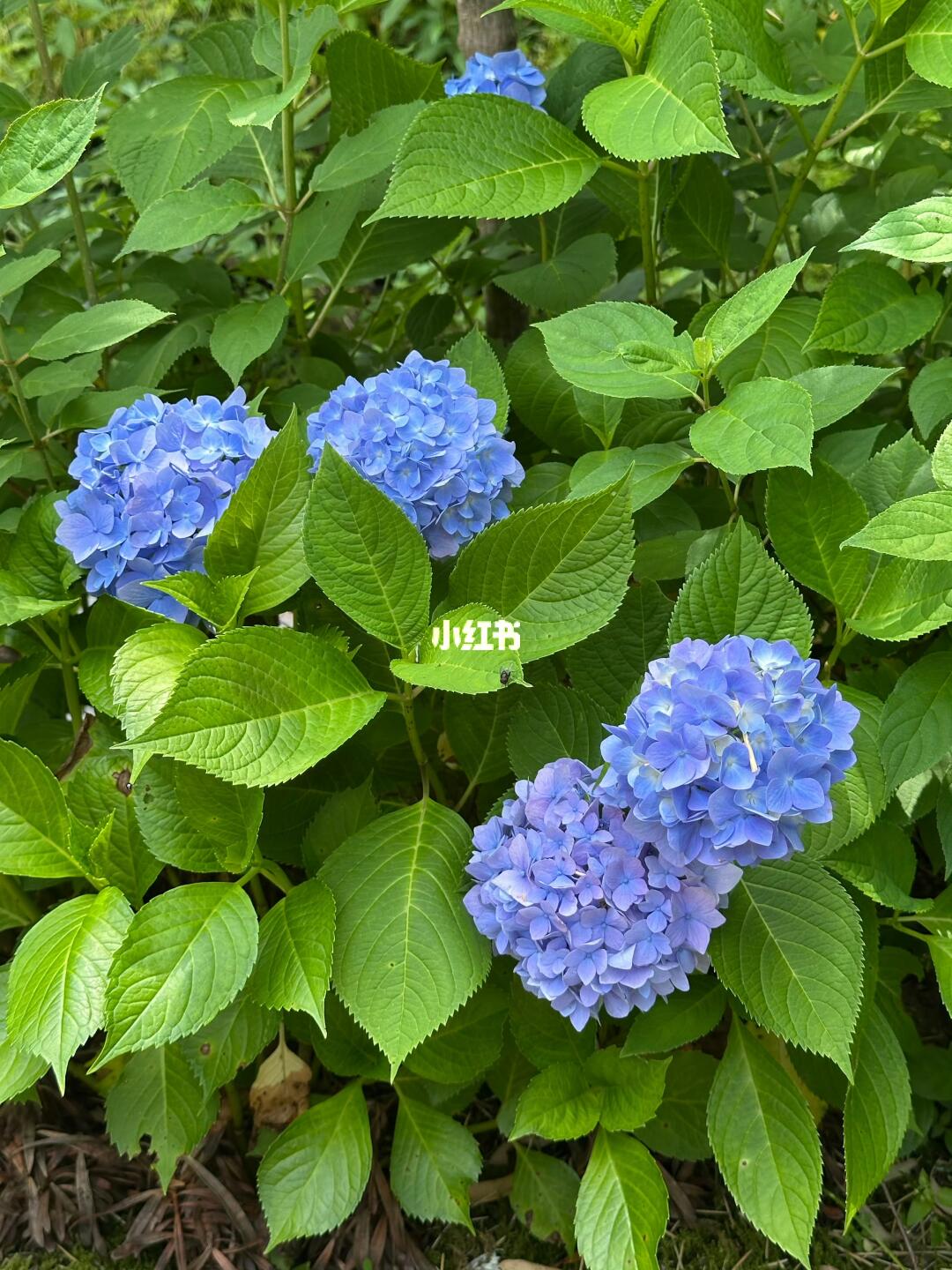 阳光是最好的滤镜