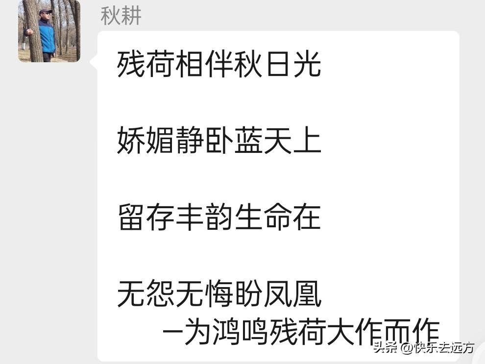 一个枯荷视频，引来三首诗，我同学群里今天“炸”了

今天上午，老同学鸿鸣在群里发